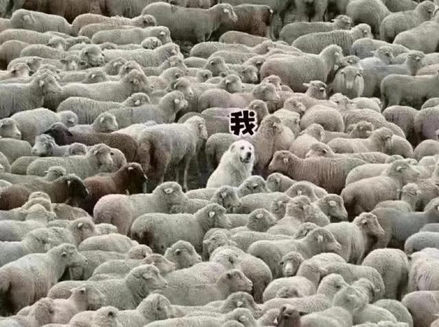 京東快遞首重和續重標準京東快遞首重多少續重多少插圖1