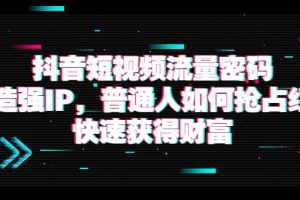 抖音短視頻流量密碼：打造強(qiáng)IP，普通人如何搶占紅利，快速獲得財富