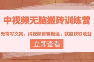 中視頻無腦搬磚訓練營：無需寫文案，純視頻剪輯搬運，就能獲取收益