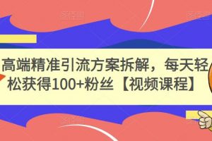 高端精準引流方案拆解，每天輕松獲得100 粉絲【視頻課程】