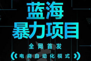引流哥藍(lán)海暴力躺賺項(xiàng)目：無需發(fā)圈無需引流無需售后，每單賺50-500（教程 線報(bào)群)