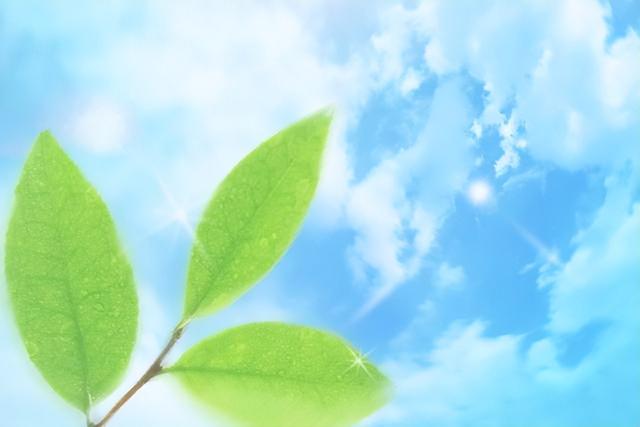 最聰明的存錢法12個月最聰明的存錢法是存折還是卡插圖1