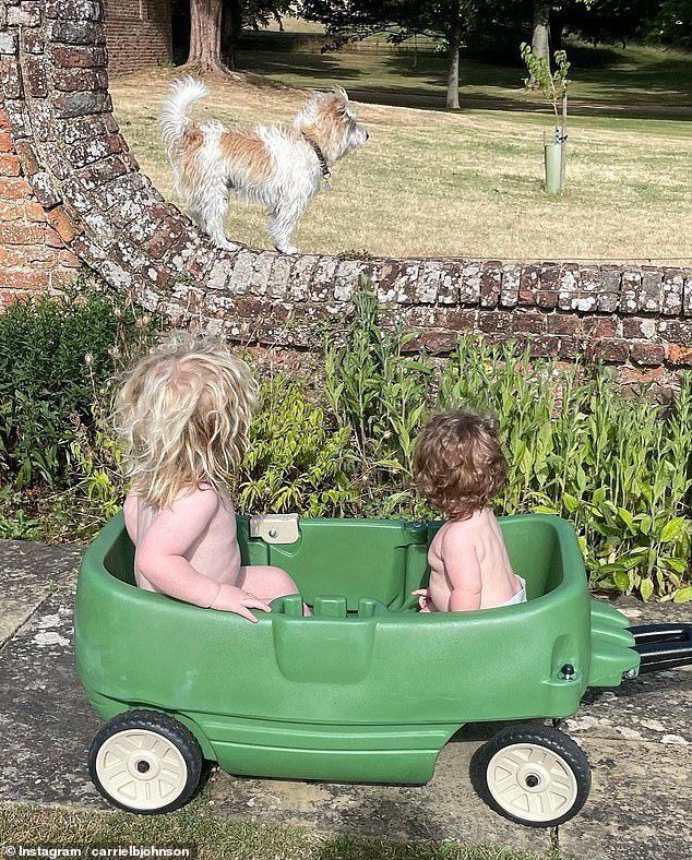 鮑里斯約翰遜鮑里斯·約翰遜群體免疫插圖6