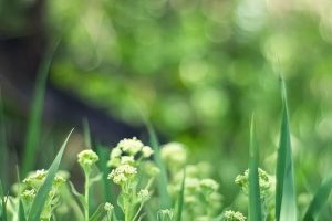 最聰明的存錢法12個月最聰明的存錢法是存折還是卡