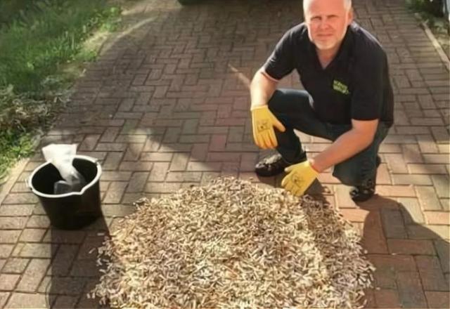 煙頭回收煙頭回收多少錢一斤是抽過的煙頭嗎插圖3