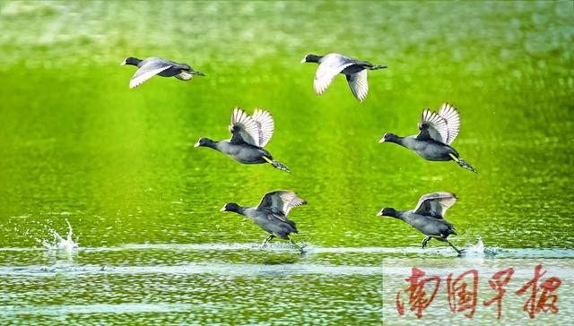 焦點圖焦點圖是什么意思網絡用語插圖3 焦點圖焦點圖是什么意思網絡用語插圖3