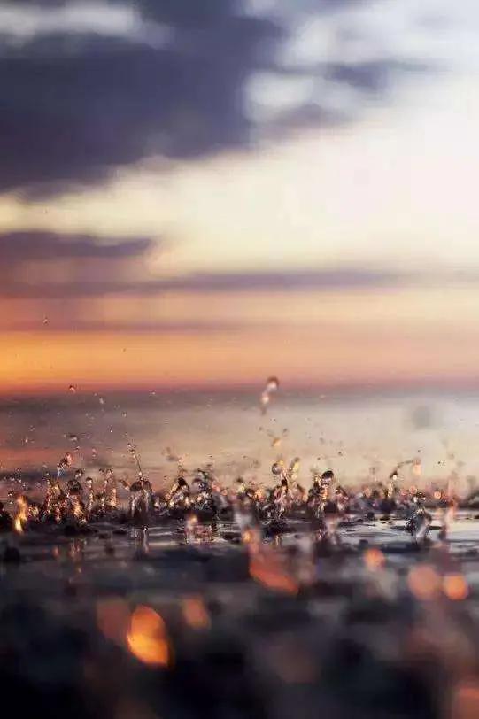 淺草淺草才能沒馬蹄的意思插圖4