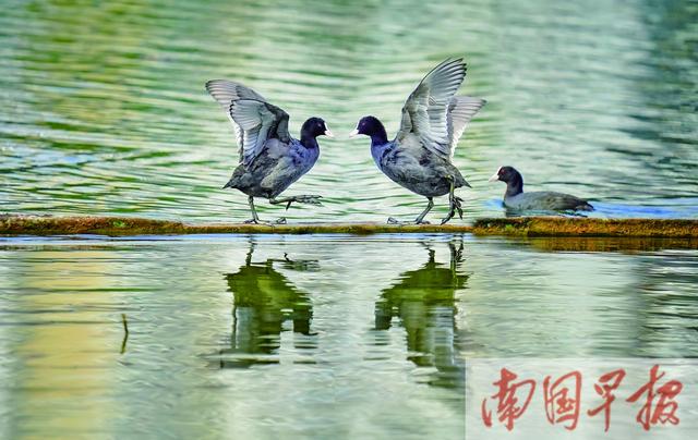 焦點圖焦點圖是什么意思網絡用語插圖4 焦點圖焦點圖是什么意思網絡用語插圖4