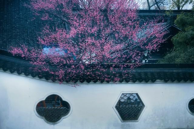 用古文暗示我等你白茶清歡無別事,我在等風也等你插圖5