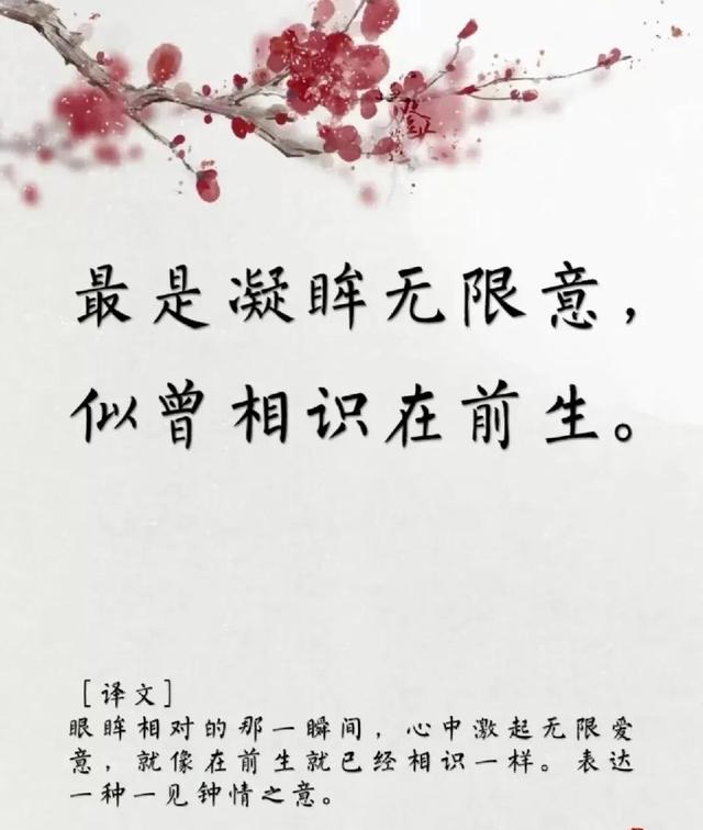 用古文暗示我等你白茶清歡無別事,我在等風也等你全詩插圖2