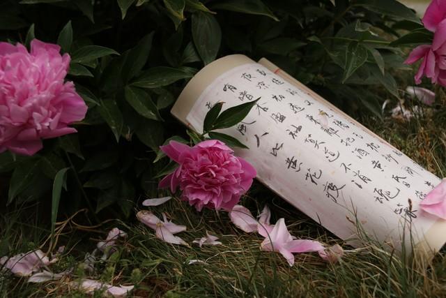 用古文暗示我等你白茶清歡無別事,我在等風也等你插圖6