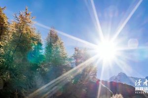 真的千萬不要做倉管