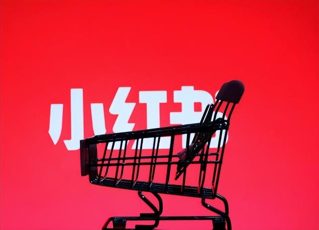 小紅書(shū)買500個(gè)粉絲小紅書(shū)沒(méi)有500粉絲怎么推廣插圖