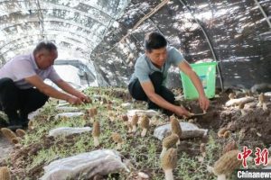 鄉鎮空缺生意鄉鎮空缺生意手工活加工