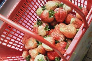 十大巔峰都市系統(tǒng)流小說(shuō)排行榜(2)