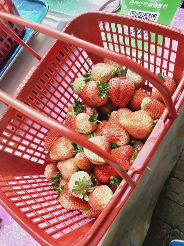 十大巔峰都市系統流小說排行榜(2)插圖