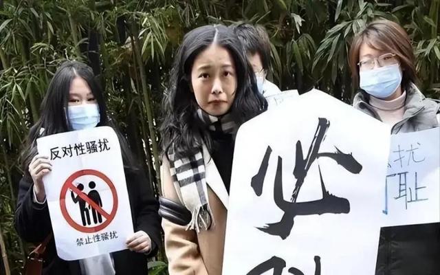 朱軍與弦子事件始末弦子的個人資料插圖4