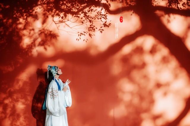 用古文暗示我等你白茶清歡無別事,我在等風也等你插圖1