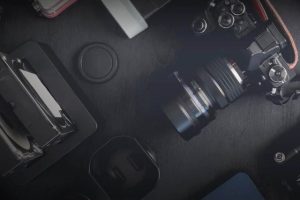 2022年養什么掙錢最快的2022年養什么有前景