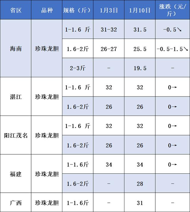 龍膽魚價格—斤多少錢龍膽魚的價格插圖