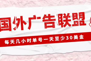 外面收費1980最新國外LEAD廣告聯盟搬磚項目，單號一天至少30美元(詳細教程)