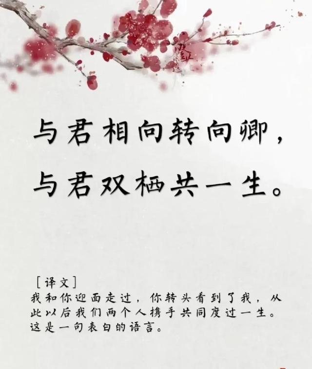 用古文暗示我等你白茶清歡無別事,我在等風也等你全詩插圖