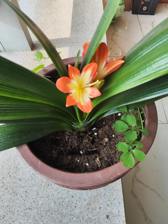 如何懲罰自己如何安全懲罰自己的隱私地方插圖