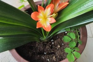 如何懲罰自己如何安全懲罰自己的隱私地方