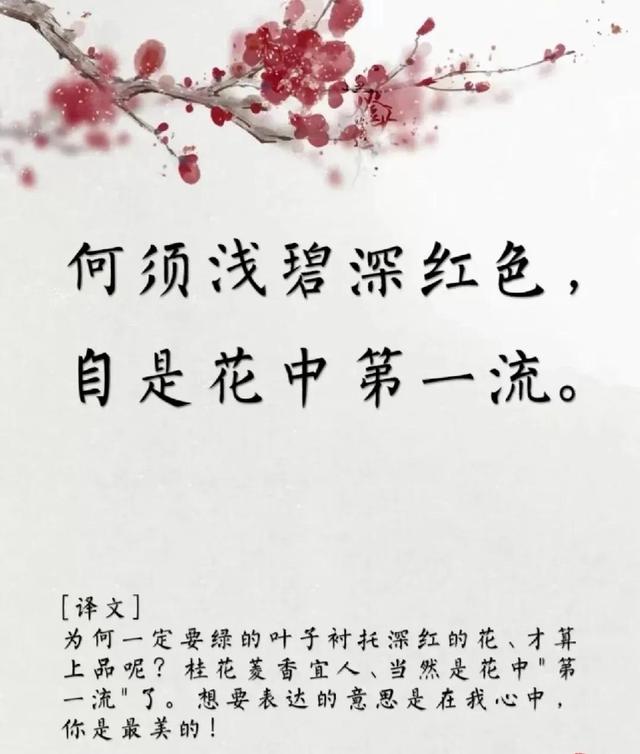 用古文暗示我等你白茶清歡無別事,我在等風也等你全詩插圖3