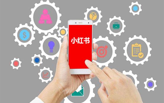小紅書有哪些用途小紅書有哪些用途和功能插圖2