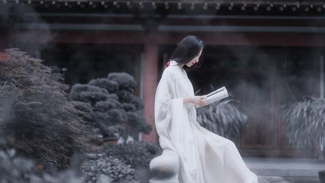 用古文暗示我等你白茶清歡無別事,我在等風也等你插圖