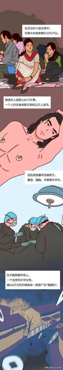 現(xiàn)在—個腎值多少錢插圖2