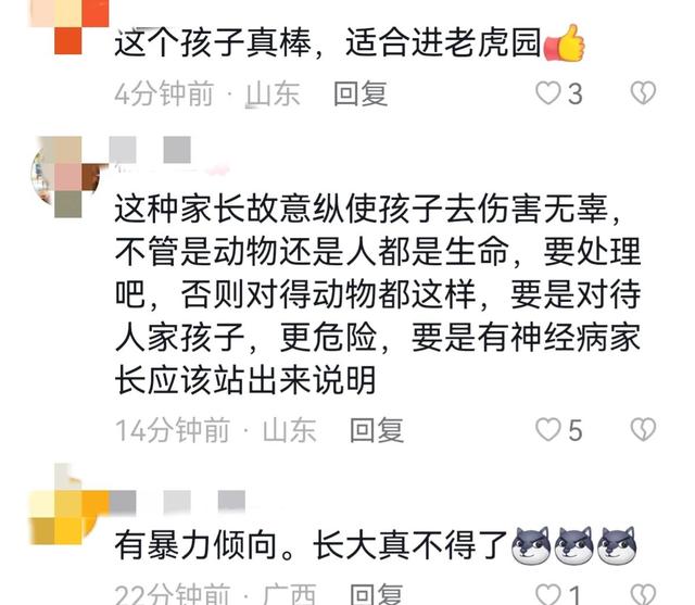 世界上最恐怖的孔雀世界上最恐怖的孔雀是什么插圖7