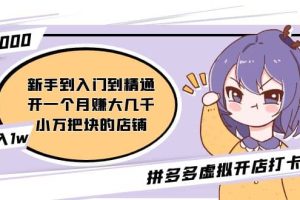 拼多多虛擬開店打卡群：新手到入門到精通