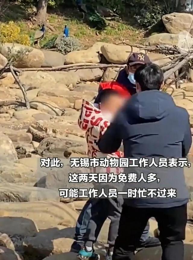 世界上最恐怖的孔雀世界上最恐怖的孔雀是什么插圖4