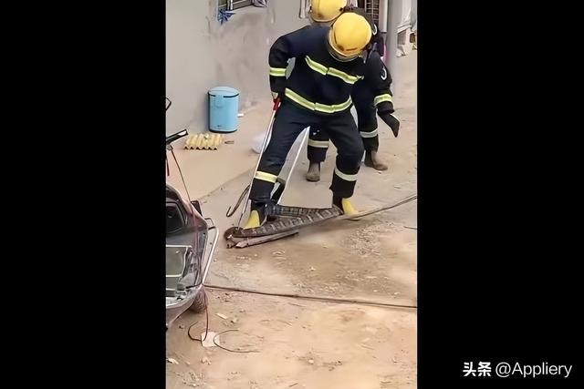 大蛇太難對付我堅持不住了有兩條蛇住進了我身體插圖3