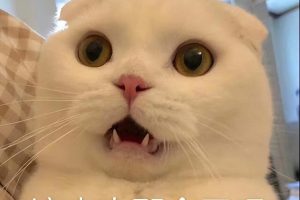 自我懲罰的方法要狠毒1到50種24小時憋尿時間表