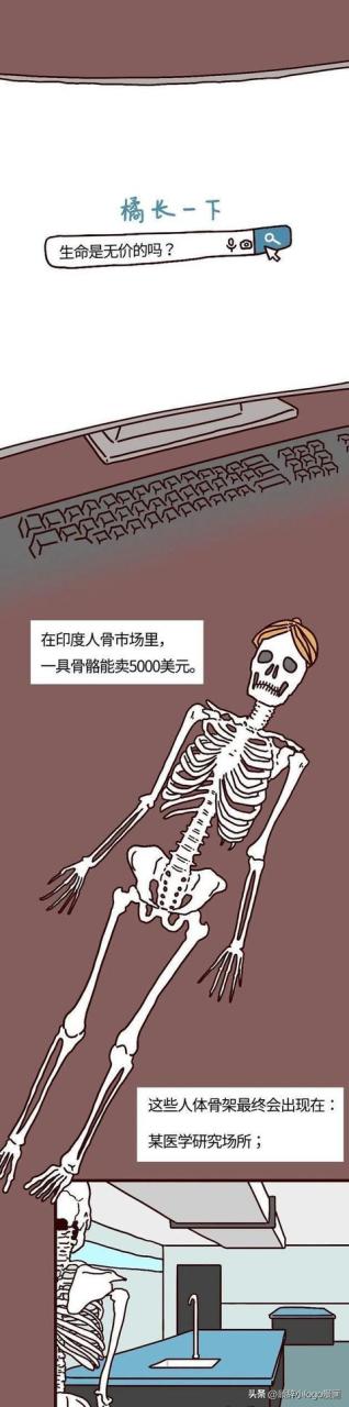 現(xiàn)在—個腎值多少錢插圖
