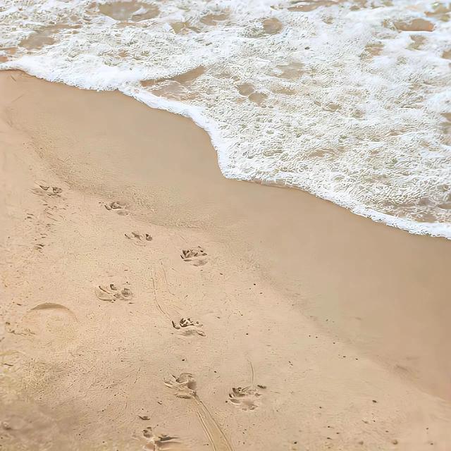 微信紅包24小時沒領為什么沒退回微信紅包24小時沒領為什么沒退回現實已過期插圖2 微信紅包24小時沒領為什么沒退回微信紅包24小時沒領為什么沒退回現實已過期插圖2