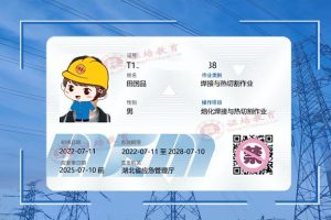 國網可查的焊工證國家安監局特種作業操作證官網