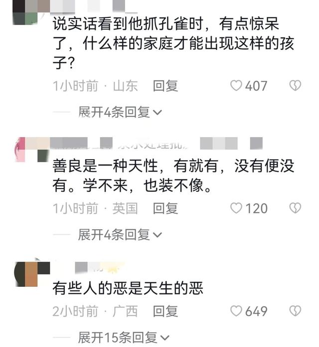 世界上最恐怖的孔雀世界上最恐怖的孔雀是什么插圖8