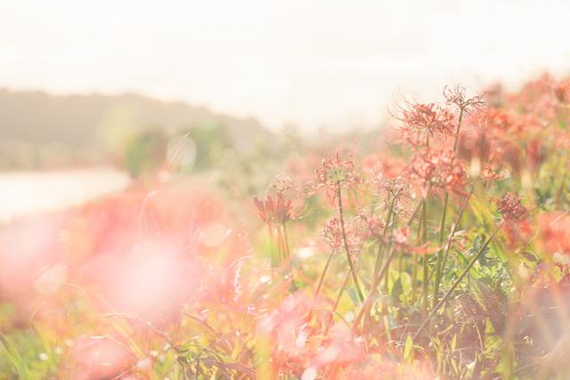 超a禁欲系網(wǎng)名女超a禁欲系網(wǎng)名女插圖