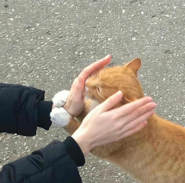 微信紅包24小時沒領為什么沒退回微信紅包24小時沒領為什么沒退回現實已過期插圖3 微信紅包24小時沒領為什么沒退回微信紅包24小時沒領為什么沒退回現實已過期插圖3