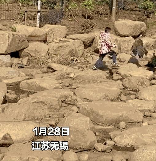 世界上最恐怖的孔雀世界上最恐怖的孔雀是什么插圖