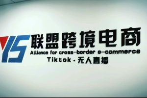 Tiktok無人直播，不出鏡不剪輯不拍攝不發(fā)貨無售后的跨境短視頻玩法