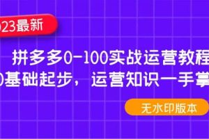 2023拼多多0-100實戰運營教程，0基礎起步，運營知識一手掌握（無水印）