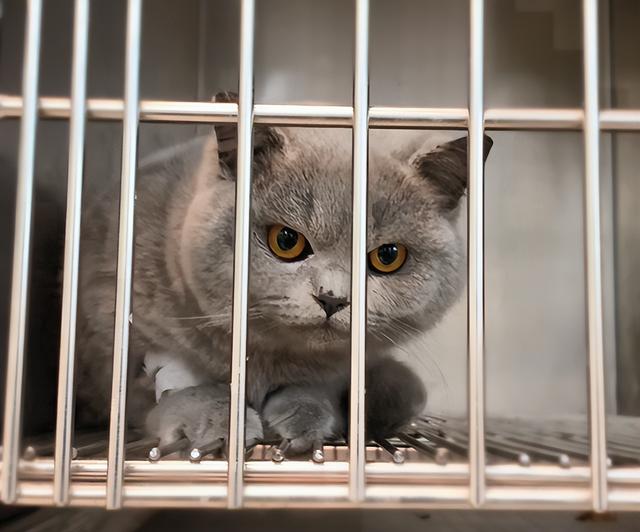 自我懲罰的方法要狠毒1到50種24小時憋尿時間表插圖3