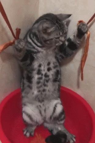 自我懲罰的方法要狠毒1到50種24小時憋尿時間表插圖2