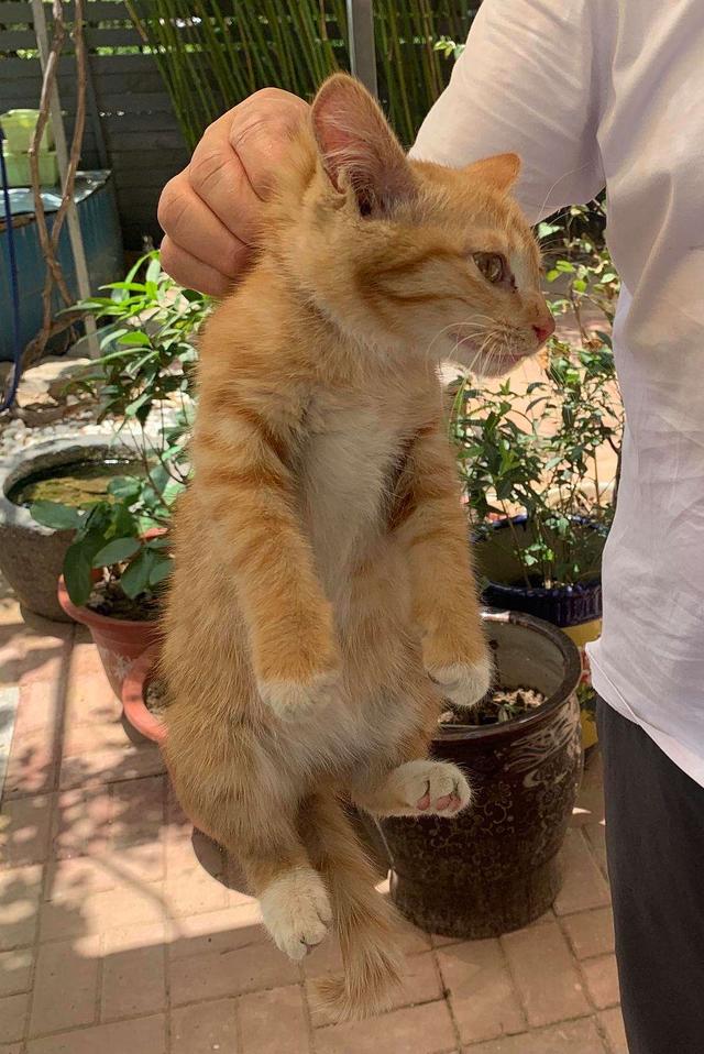 自我懲罰的方法要狠毒1到50種24小時憋尿時間表插圖4