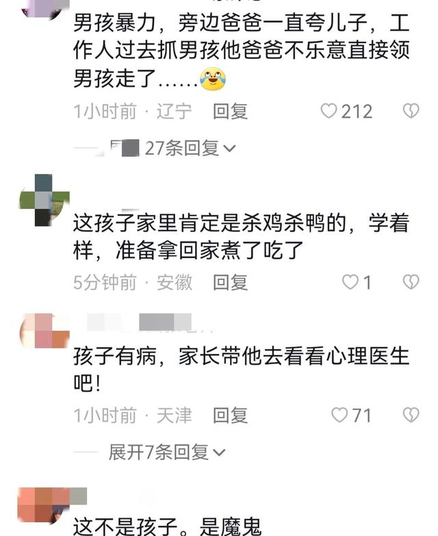 世界上最恐怖的孔雀世界上最恐怖的孔雀是什么插圖6